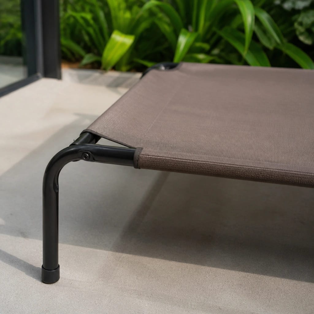 Orthopedic Foam Beds vs. Raised Cots — The Big Trade-Off