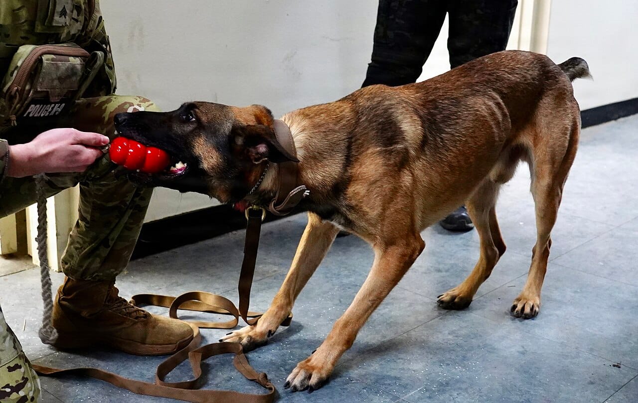 Positive reinforcement training